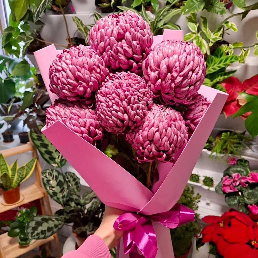 7 хризантем