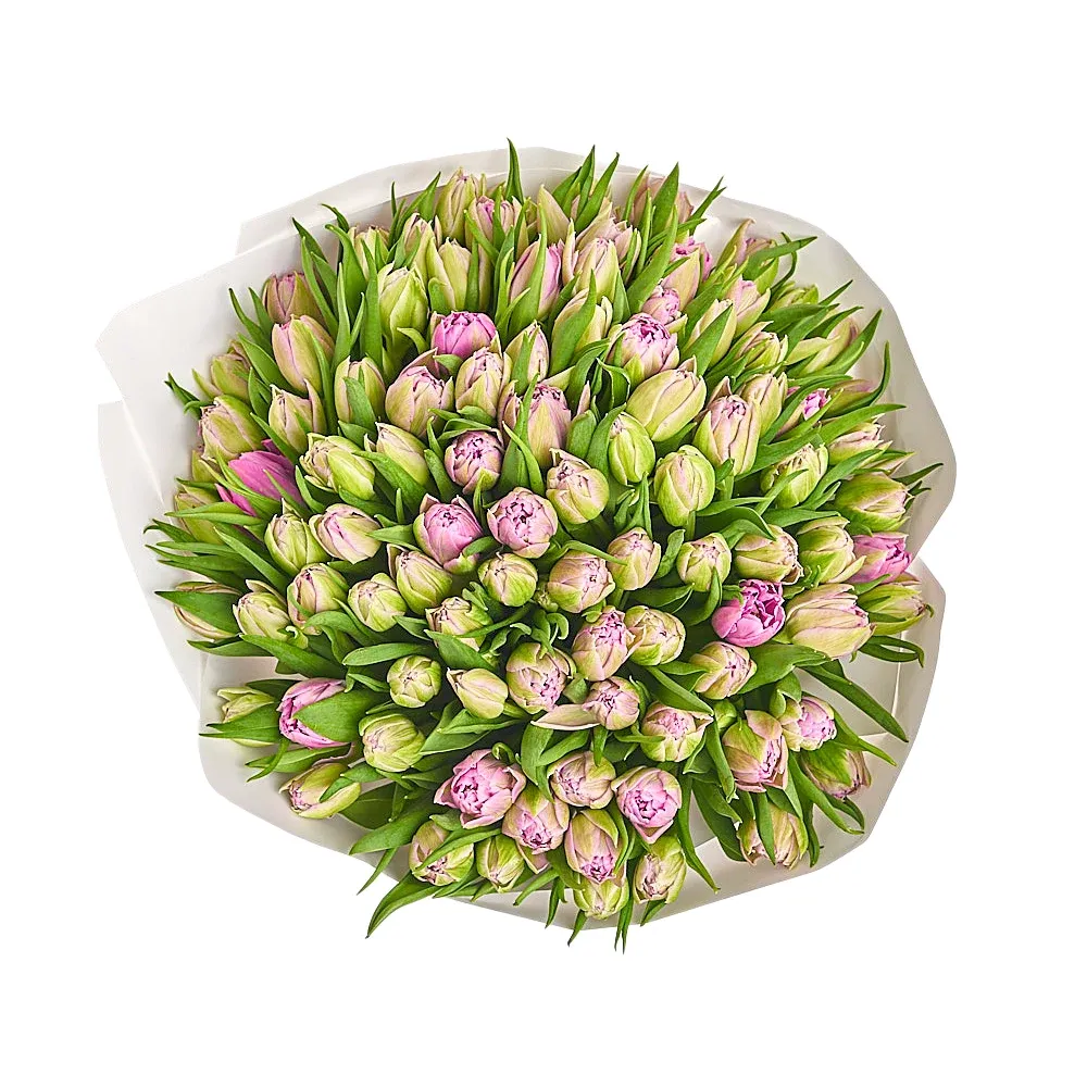 101 Фиолетовый пионовидный тюльпан