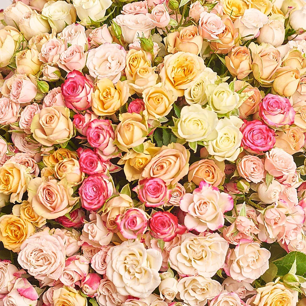 101 кустовая роза