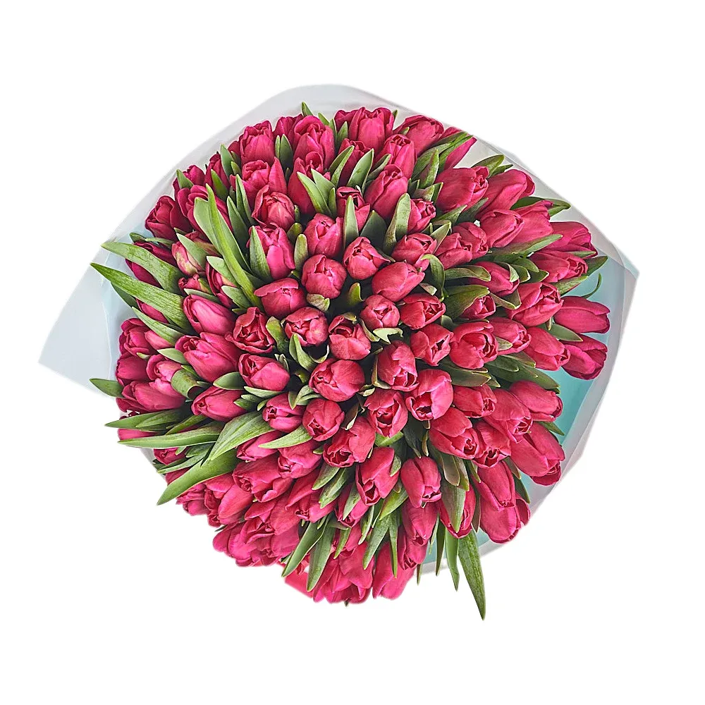 101 Малиновый тюльпан