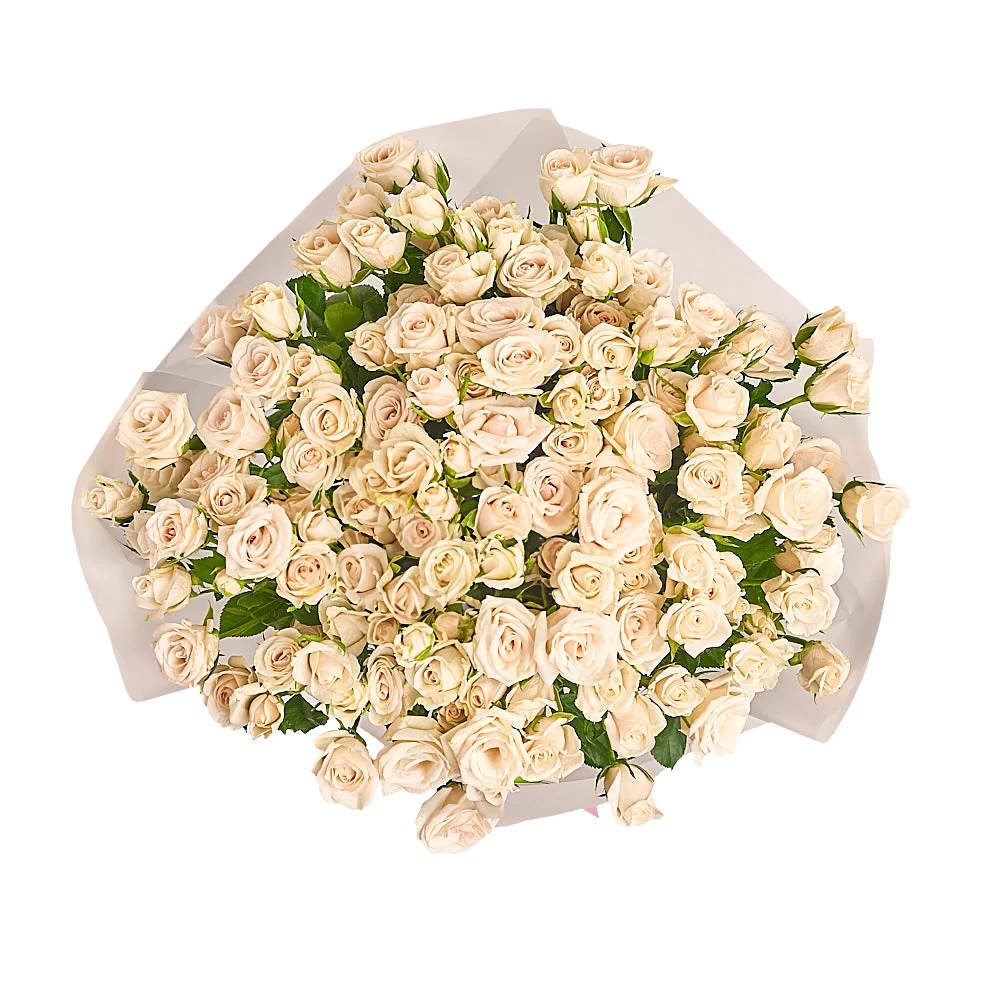 21 кремовая кустовая роза