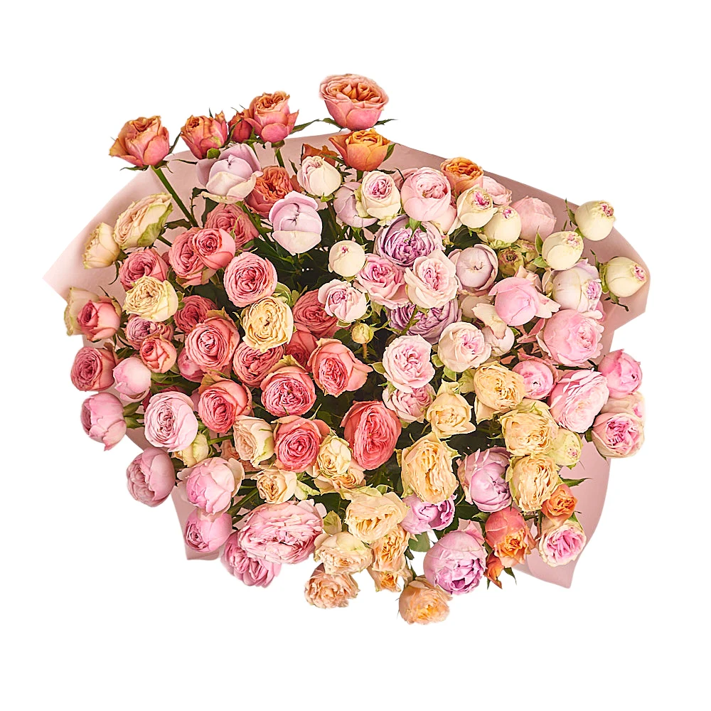 21 пионовидная кустовая роза микс