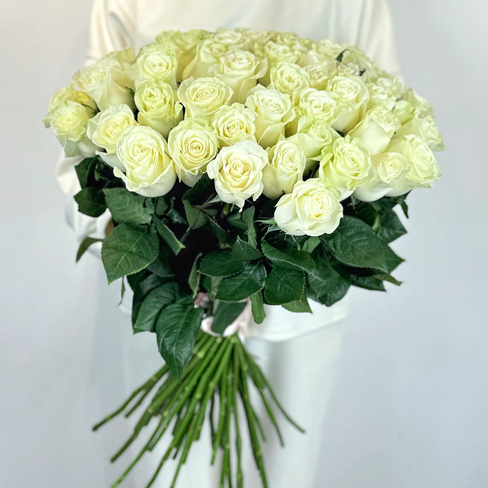 51 белая роза 70 см