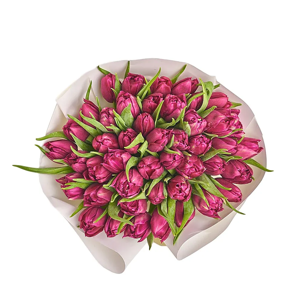 51 Фиолетовый пионовидный тюльпан