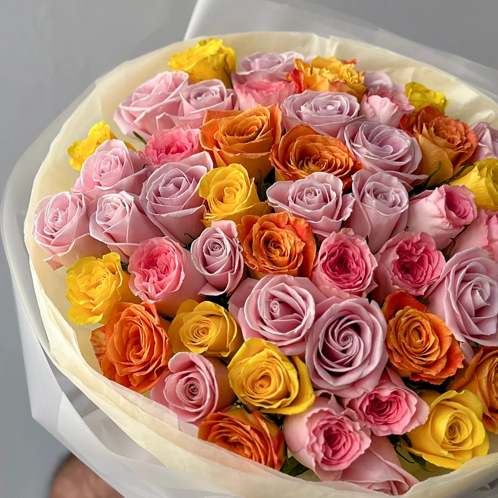 51 разноцветная роза