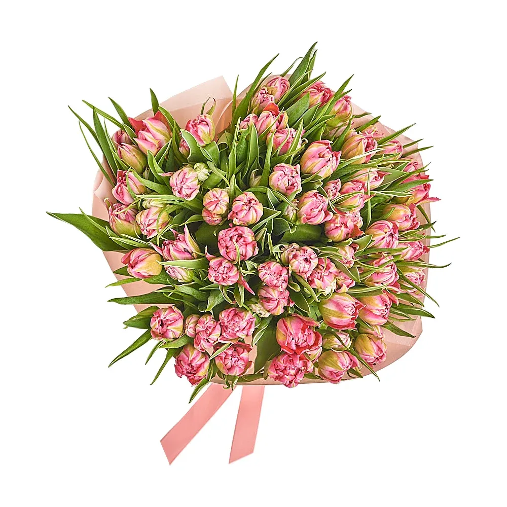 51 Светло-розовый пионовидный тюльпан