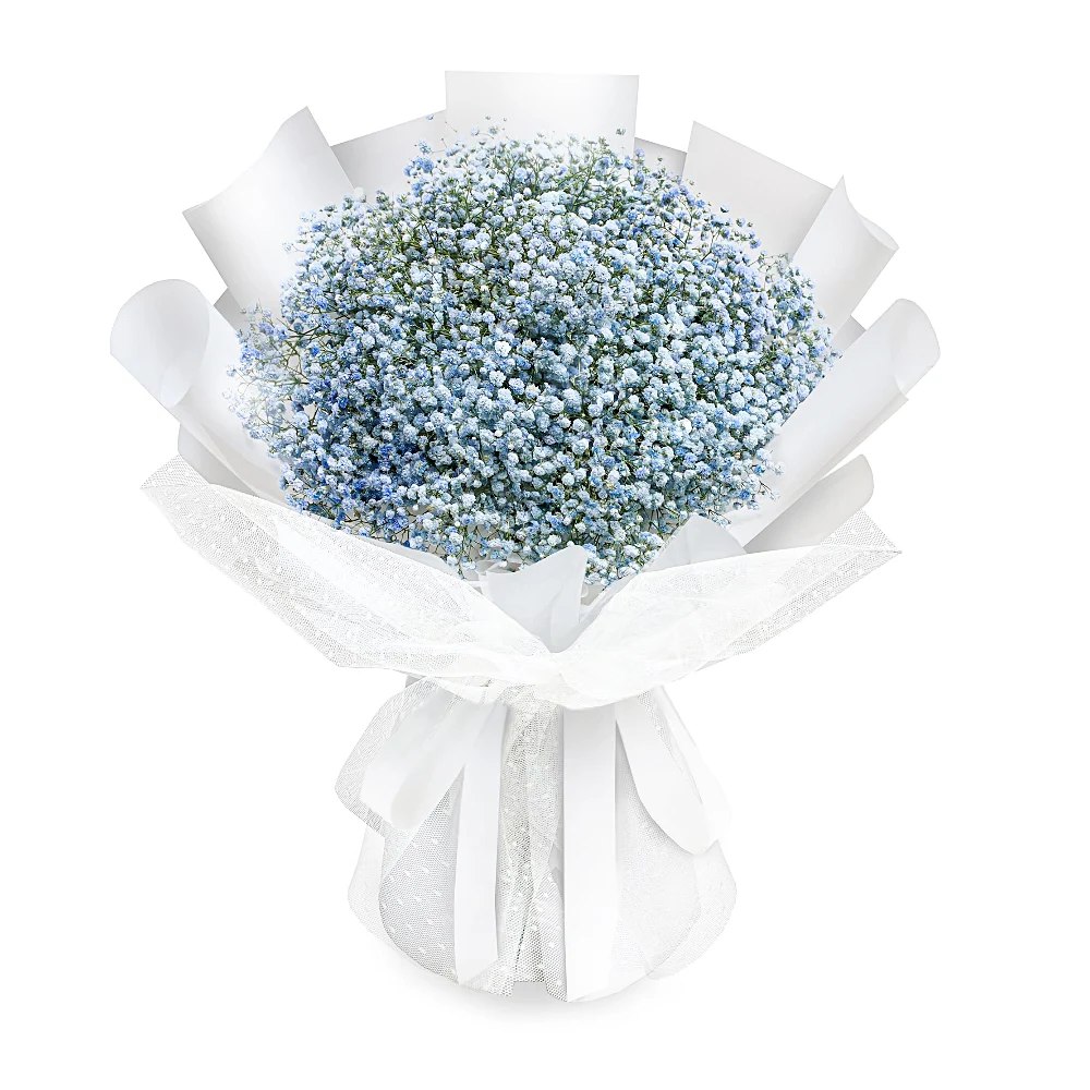 15 синих гипсофил