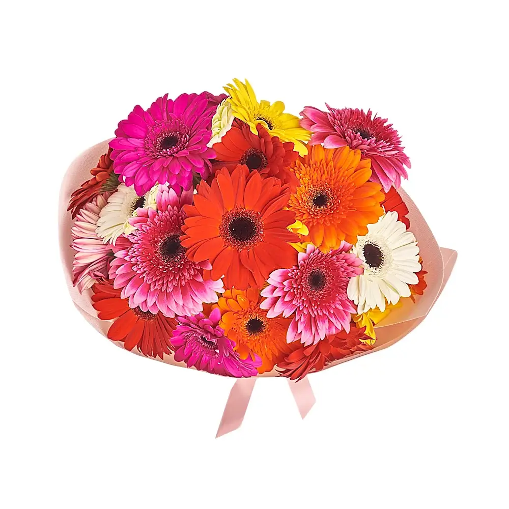 Букет из 25 гербер