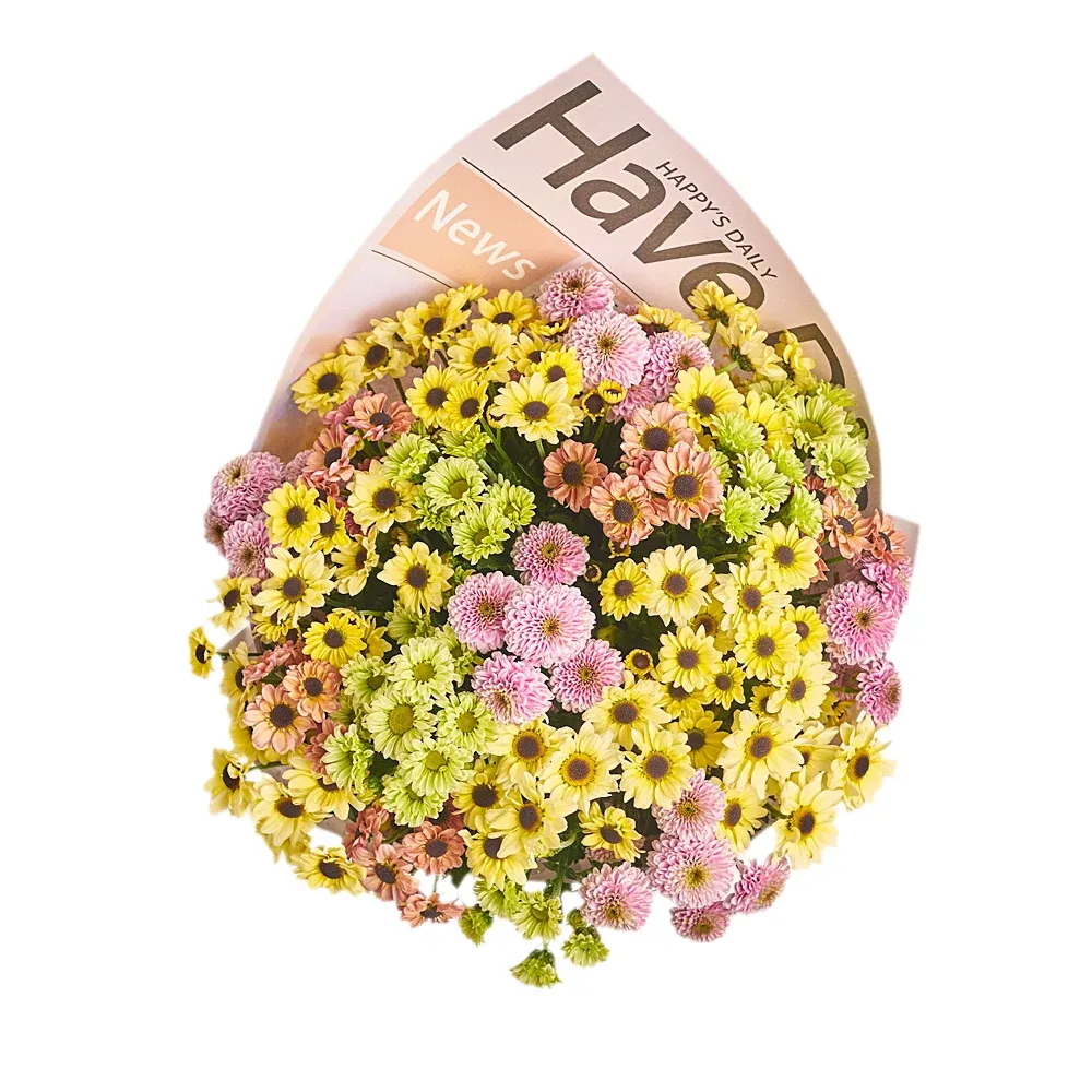 Букет из 25 разноцветных хризантем Сантини