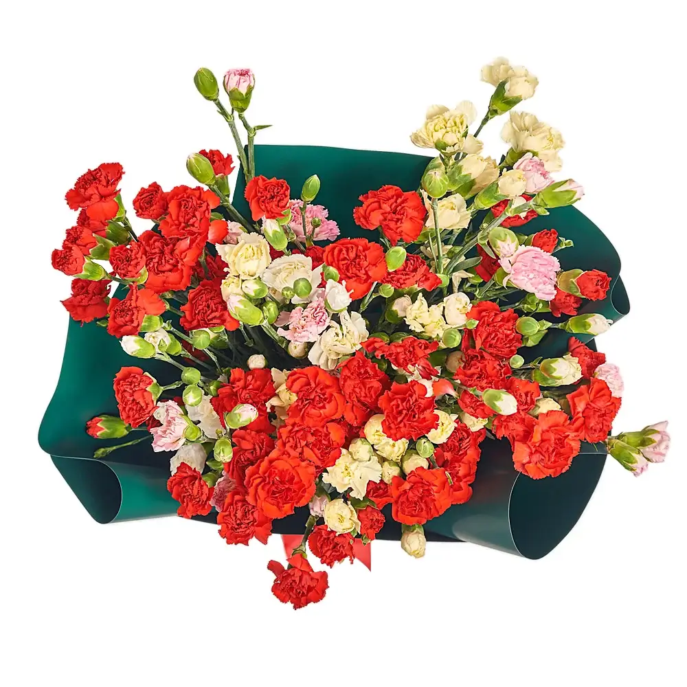 Букет из 35 диантус