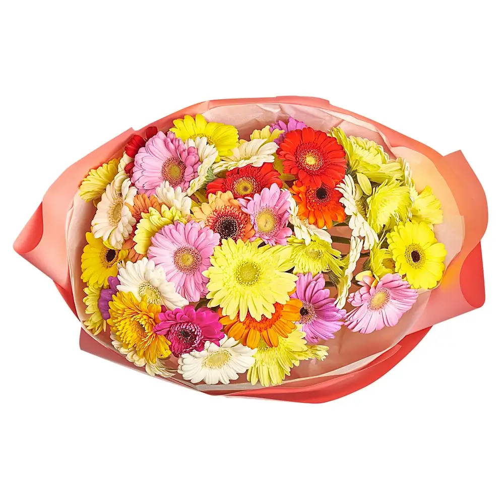 Букет из 51 герберы