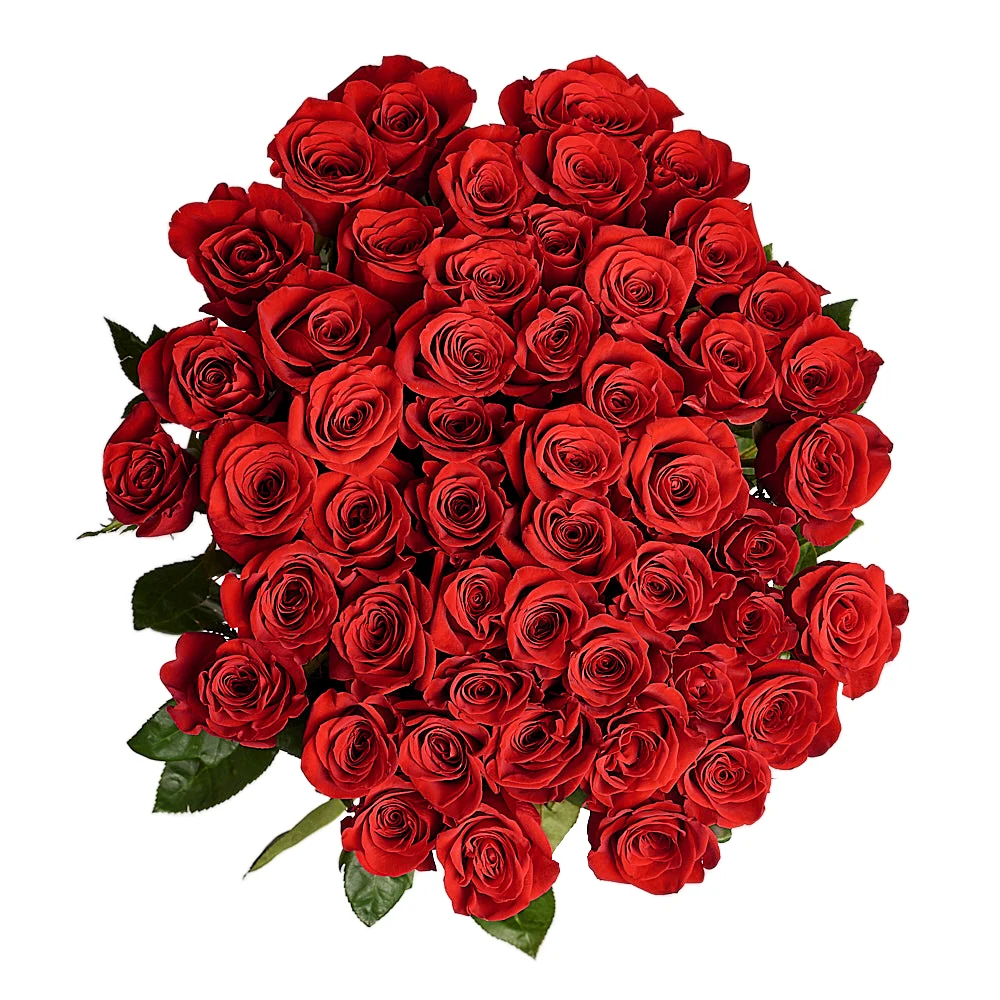 Букет из 51 красной розы Гигант (150см)