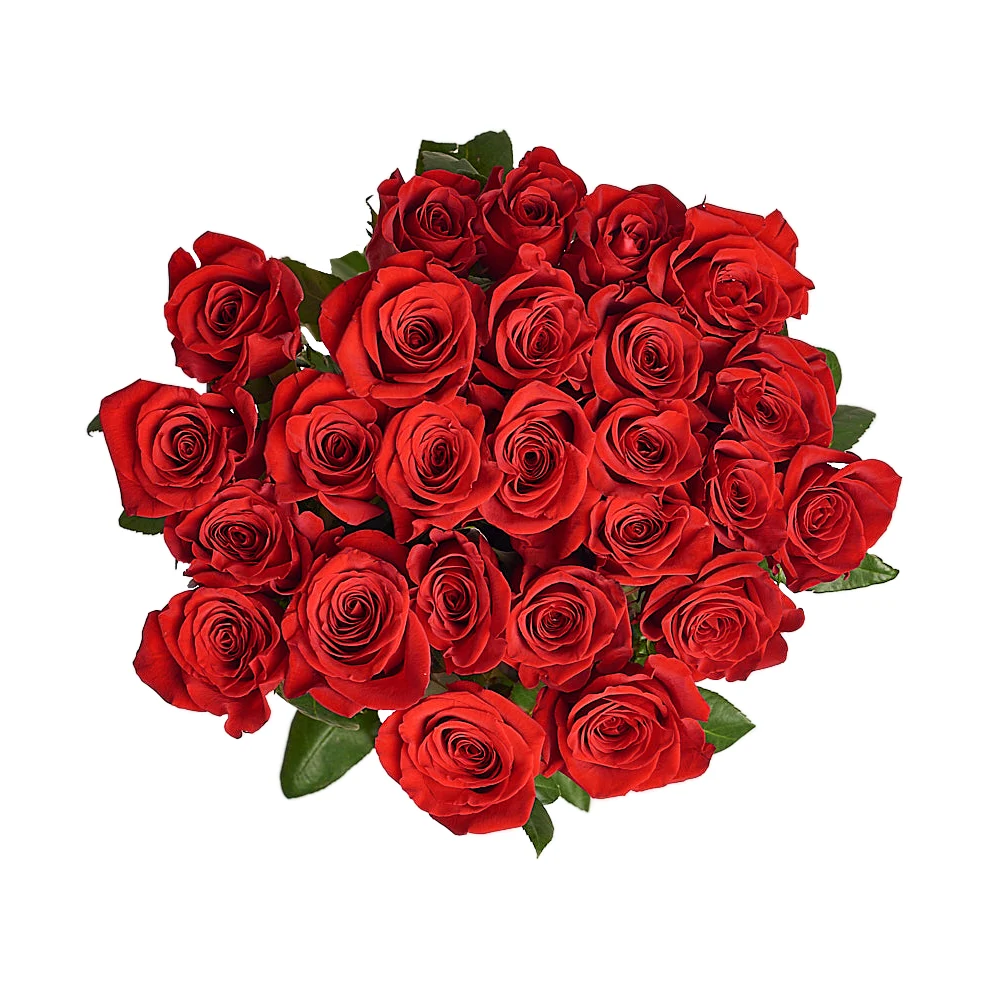 Букет из роз (190-200 см)